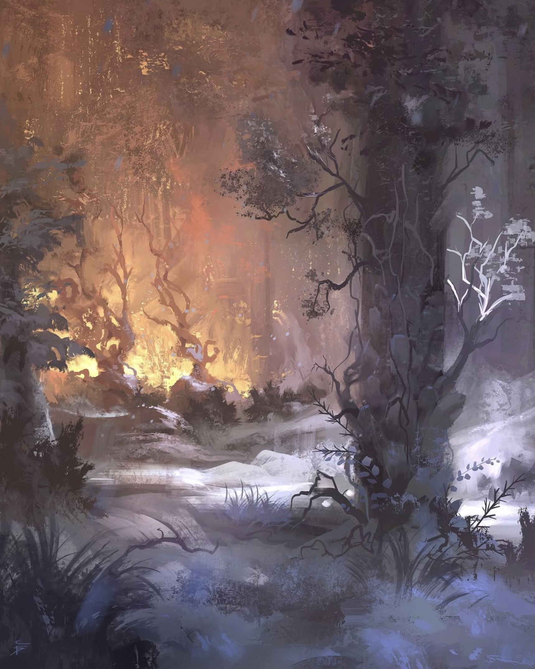 A thawing forest path in early light