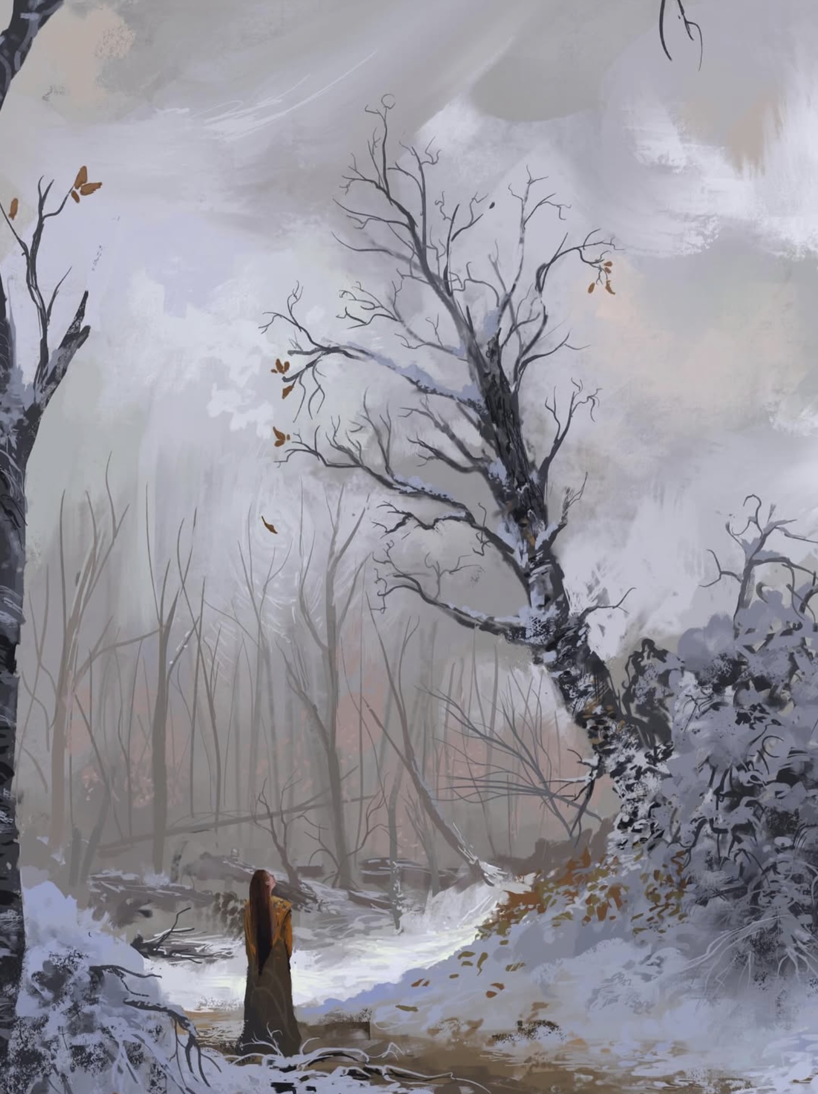 A lone figure watching a winter valley